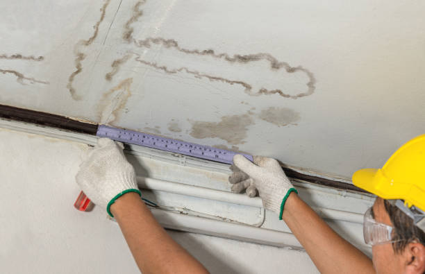 Reliable Burst Pipe Cleanup contractor in New Tazewell, TN by Water Damage Irwin